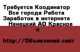 Требуется Коодинатор - Все города Работа » Заработок в интернете   . Ненецкий АО,Красное п.